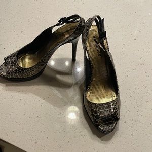 Snake skin shoes